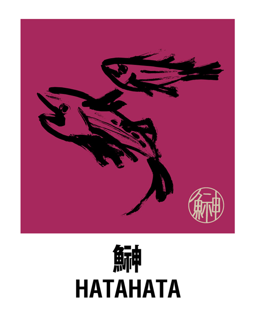 鰰 ＜HATAHATA＞